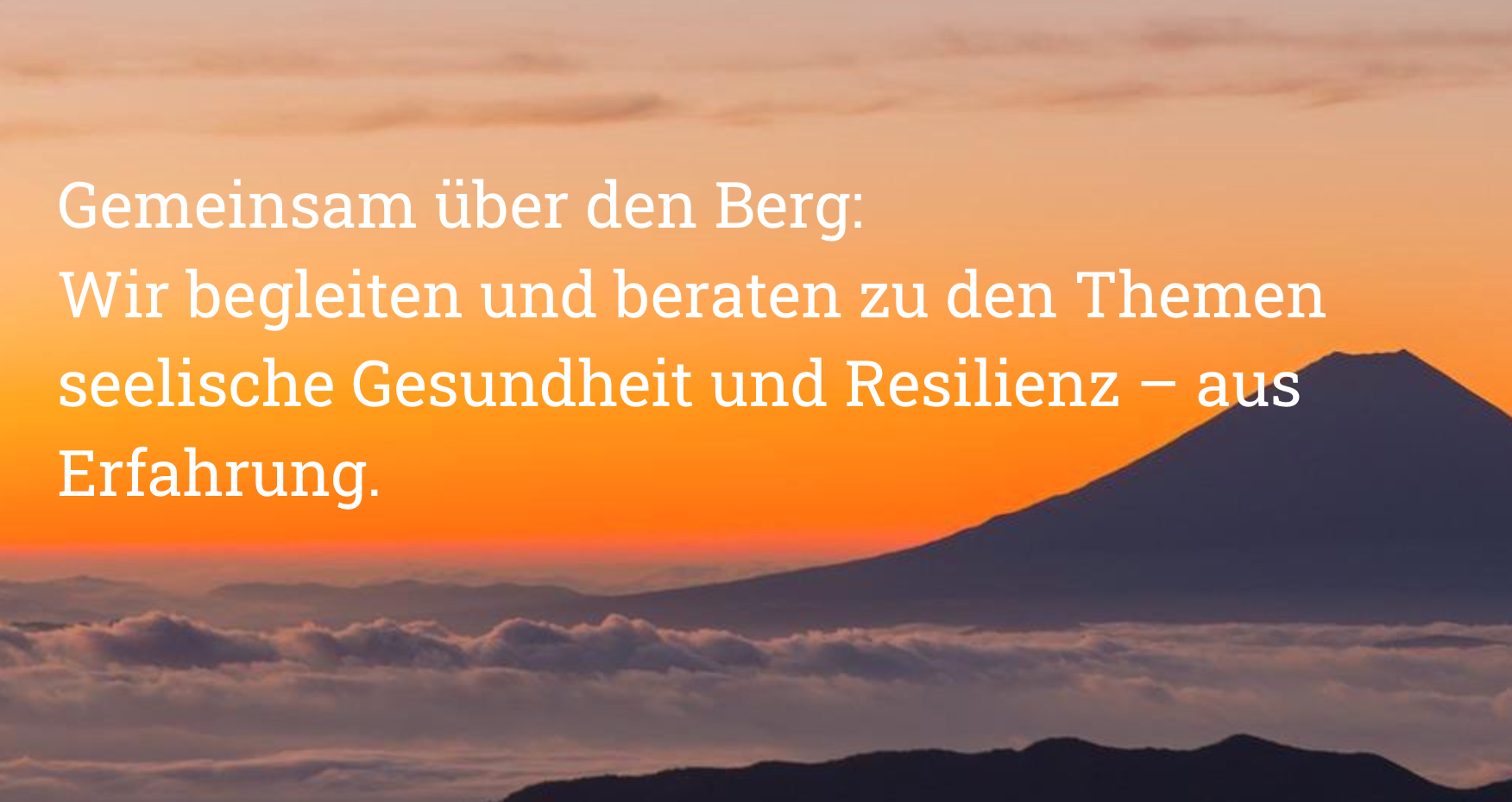 die erfahrungsexpert*innen - Krisenerfahrung als Zusatzqualifikation