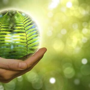Die eigenen Ressourcen (wieder-)entdecken