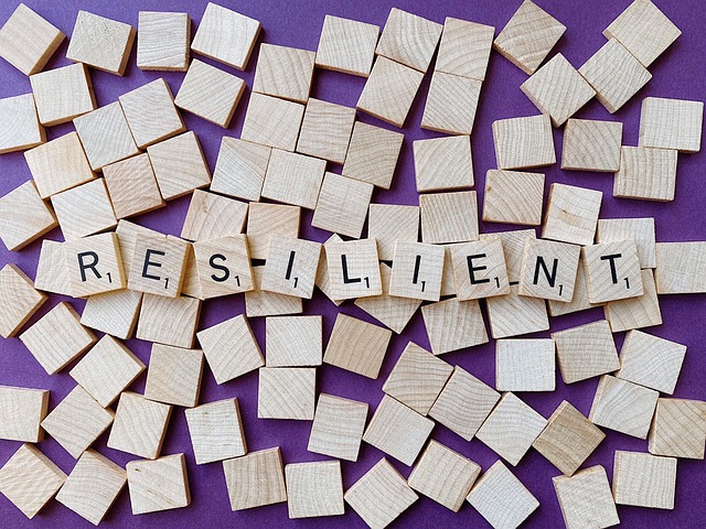 Puzzlebild zum Wort Resilient